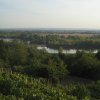 finnek 2011 019